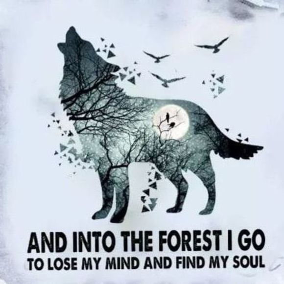 Meet your Posher, Beau - Picture 1 of 1